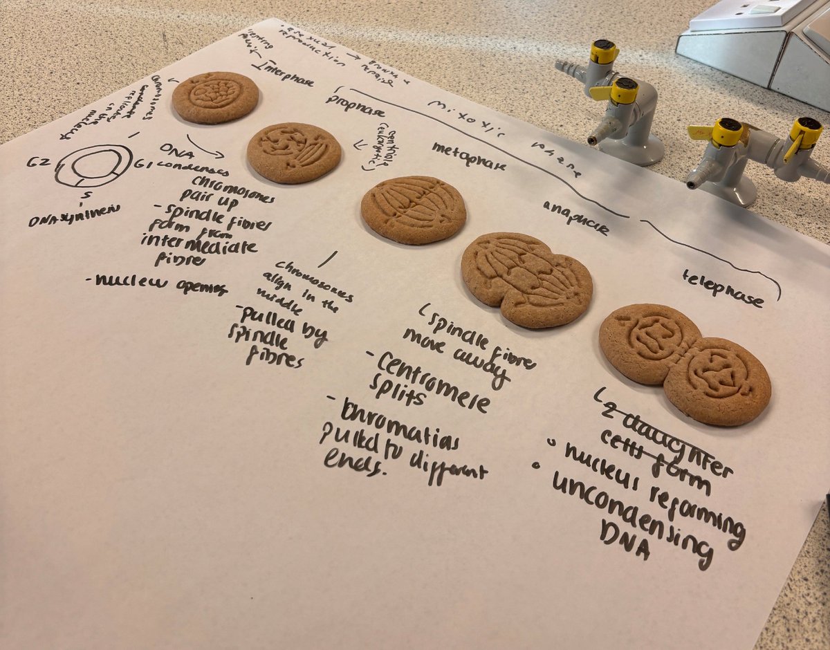 Dr Paulina Guerrero tweet media