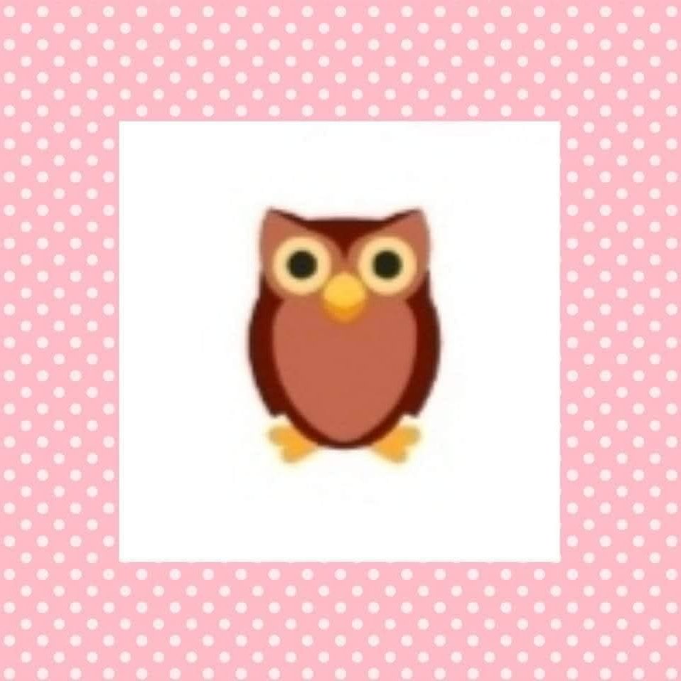 นกฮูก 🦉อิซาเบลล ของเฮีย tweet media