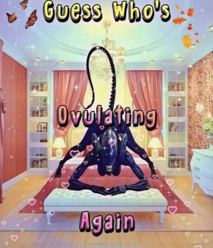 ᅠᅠᅠ𝐗 tweet media