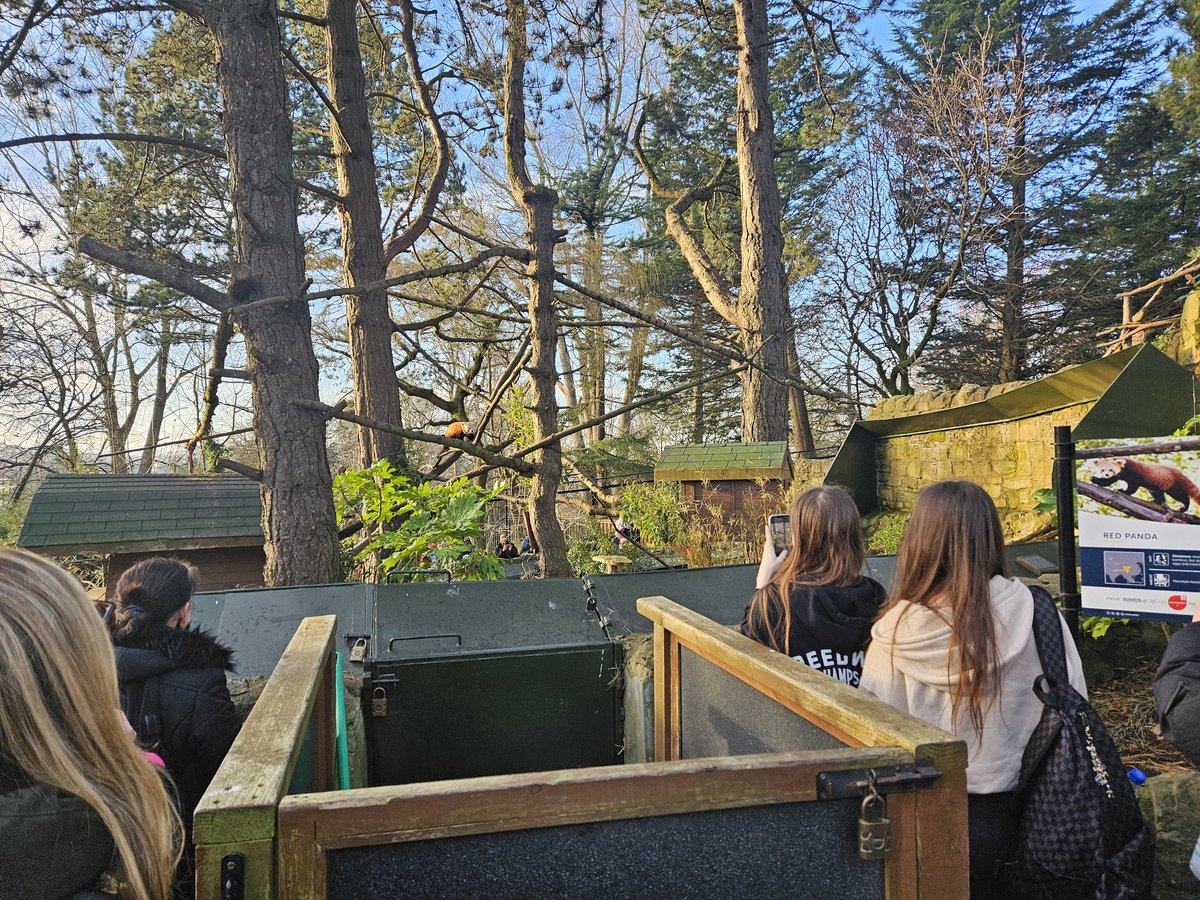 Springburn_sci's tweet image. Our Senior Phase Biologists enjoyed a day out at Edinburgh Zoo yesterday.
Thank you to @rzss for hosting and delivering interesting and thought-provoking lessons for our N5 and Higher pupils.
@springburnacad