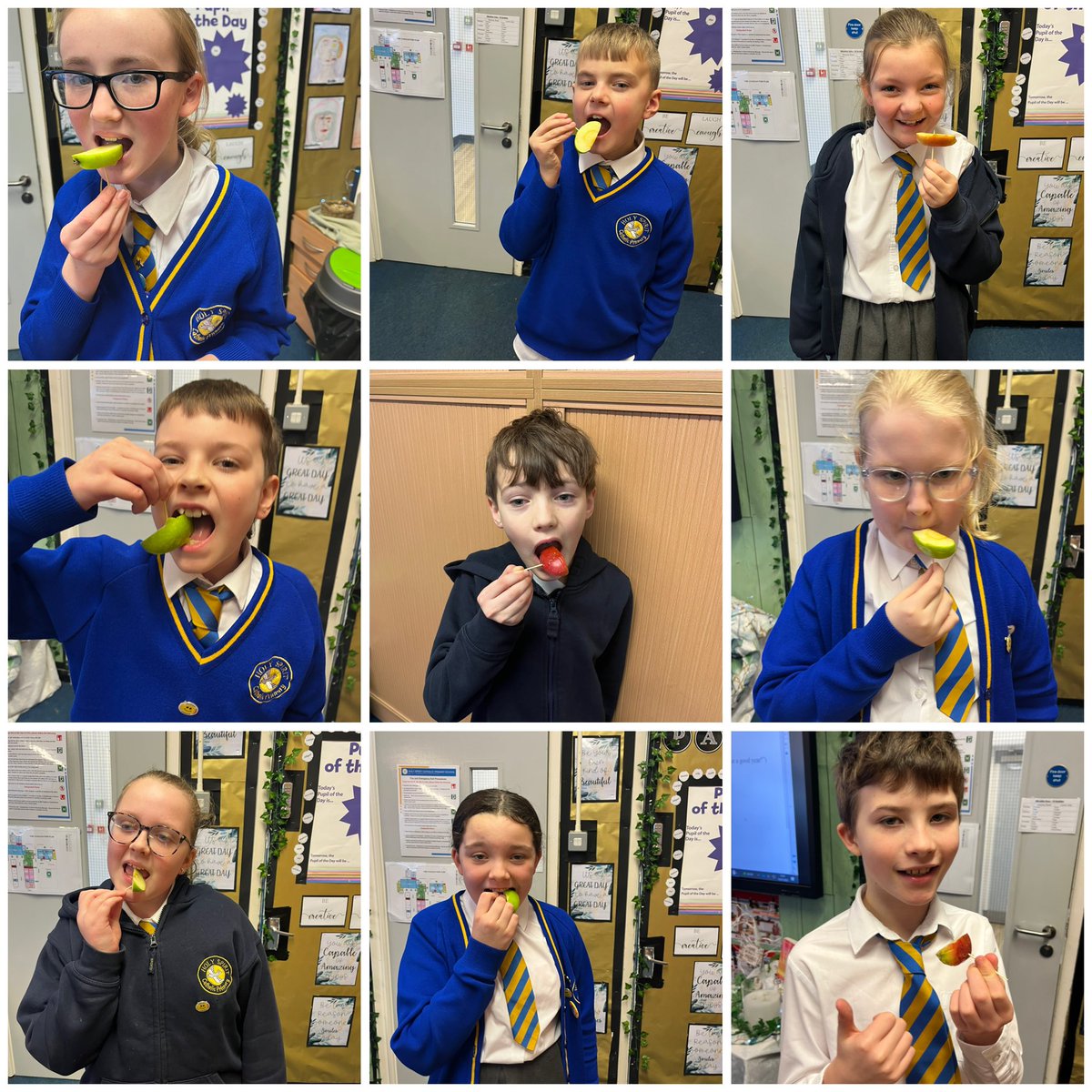 Holy Spirit Catholic Primary tweet media