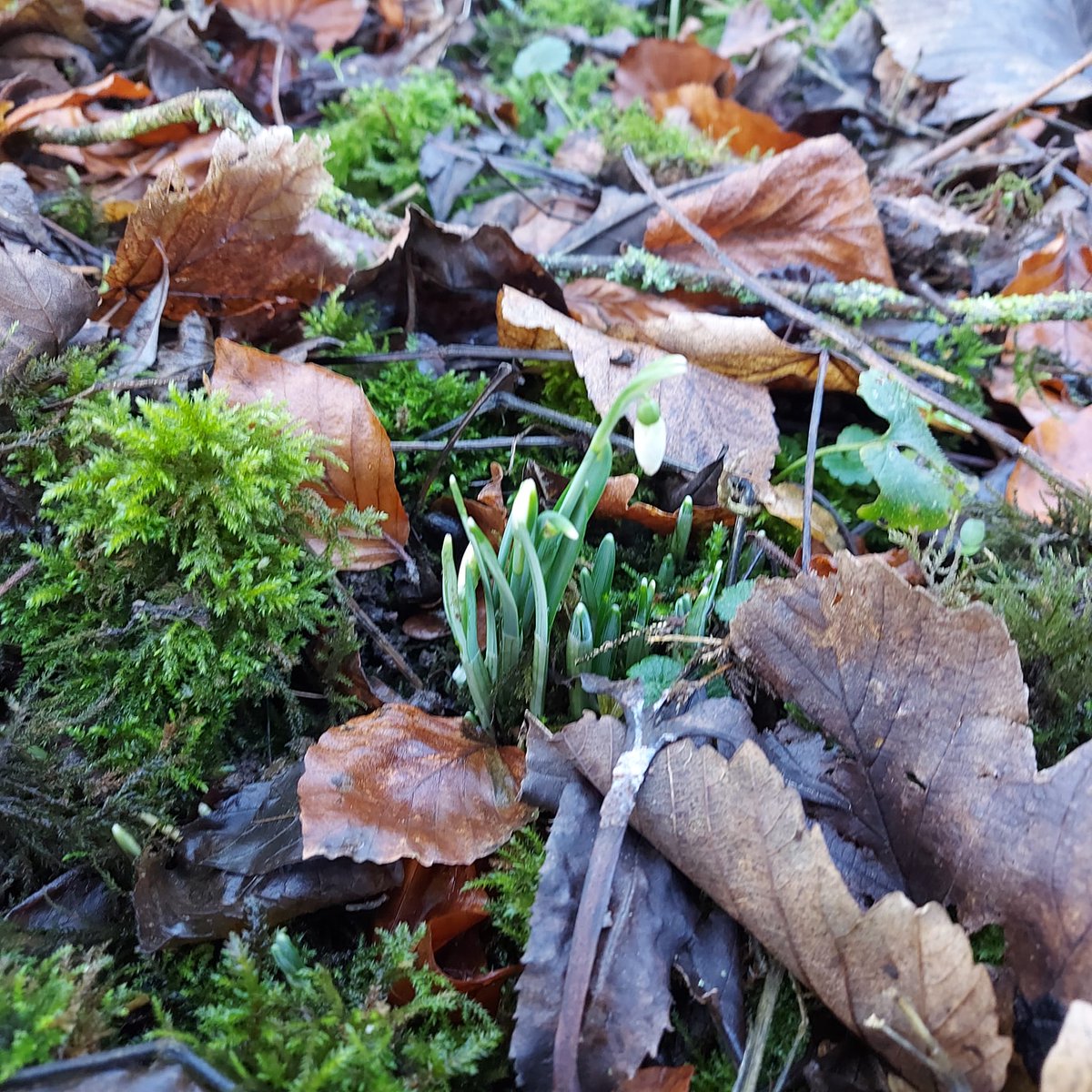 Norfolk Wildlife Trust tweet media