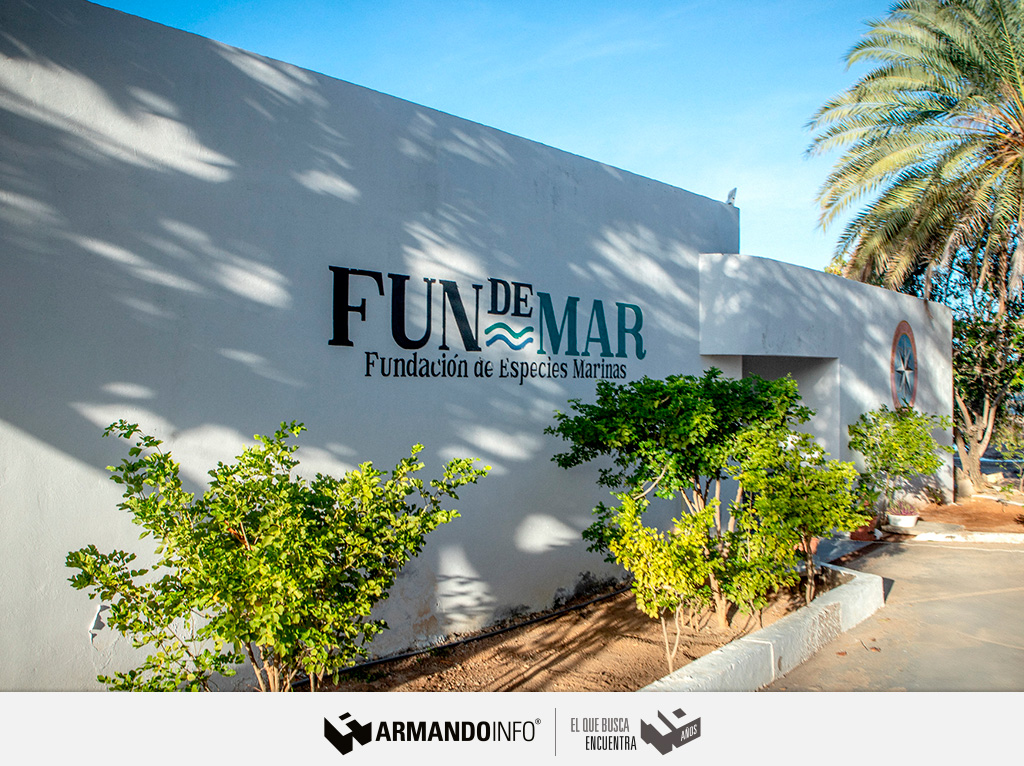 ArmandoInfo's tweet photo. El fiasco de Island Fisher y Fundemar no ha dejado más alternativa en Margarita que seguir en aguas abiertas con la explotación directa de los hábitats del pepino de mar. No hay ni regulación ni conteo
👉🏻https://t.co/8PK5xIsprP
#ArmandoHistorias2024 https://t.co/96ydGcAYyk