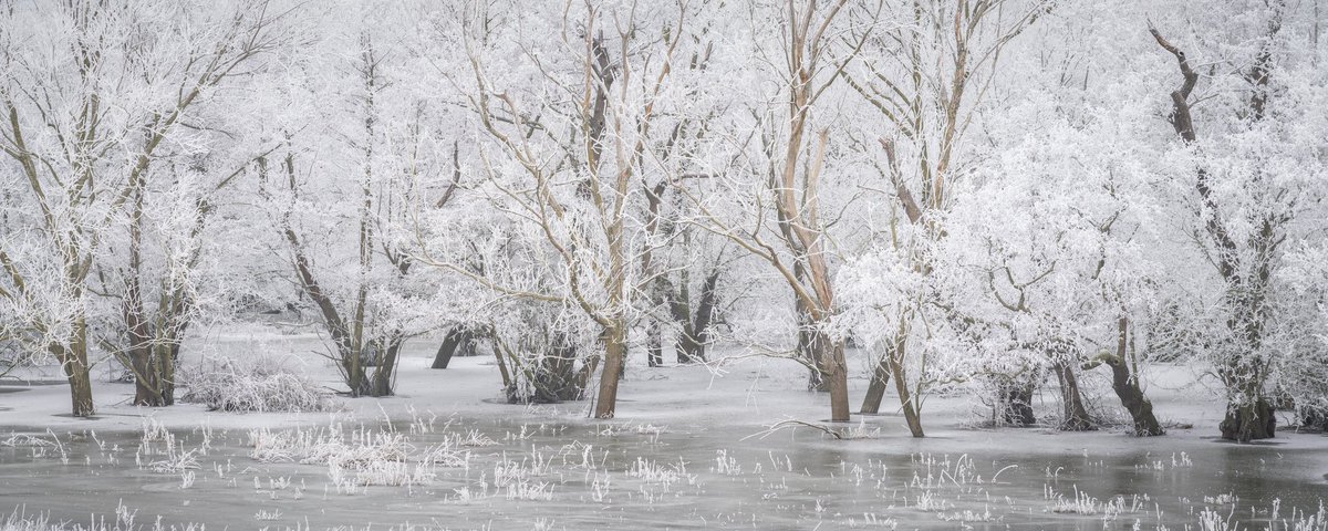 Darren Knight tweet media