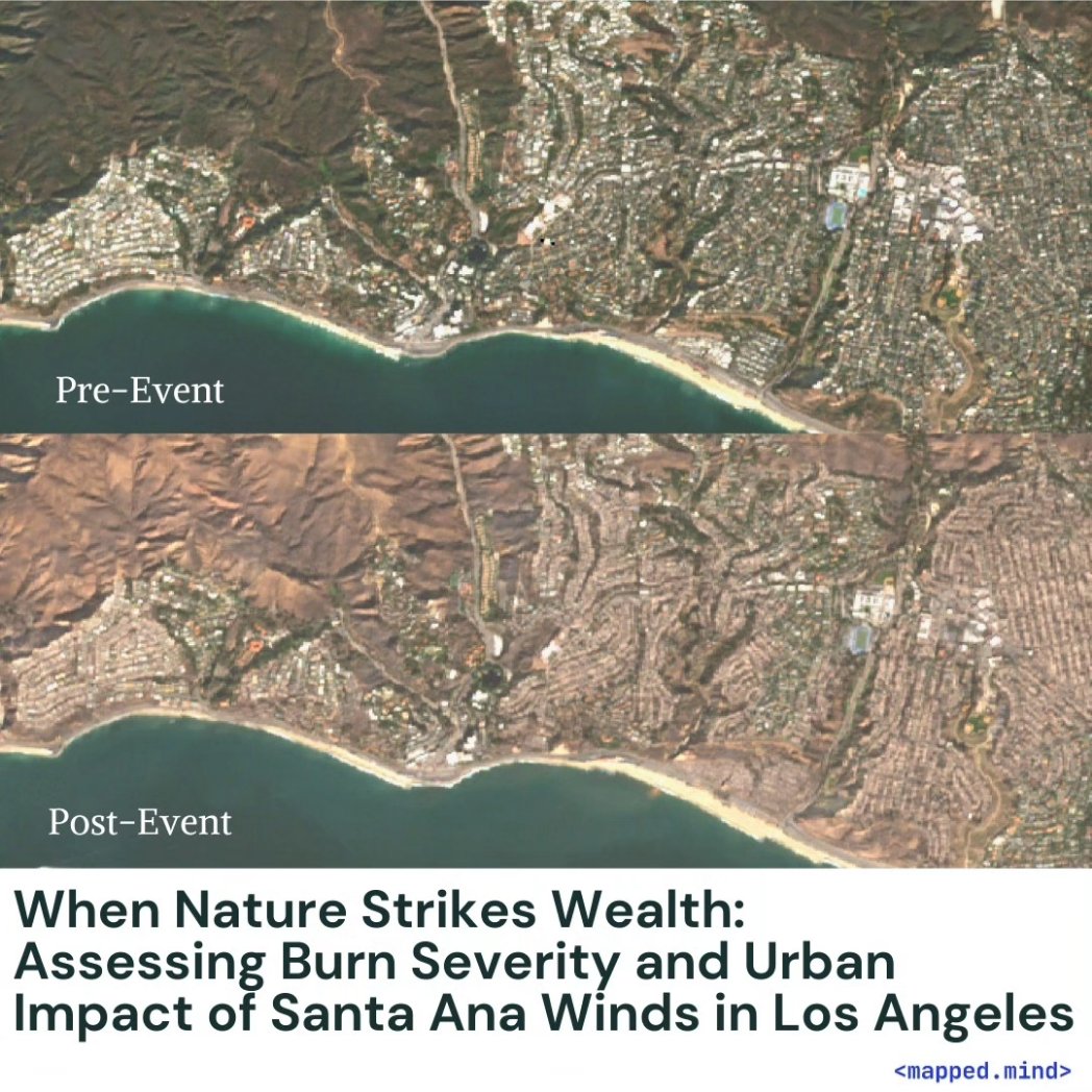 mappedmind tweet media