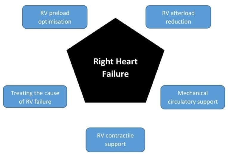 ZHeart11768530's tweet photo. 🔴Right Heart Failure: Contemporary Strategies in Acute Management 🩺⤵️
🔹https://t.co/3Cmfww5vGD
#Cardiology #HeartFailure #CriticalCare #RightHeartFunction #MechanicalSupport #Inotropes #Echofirst #YesCCT #whyCMR
#Cardiology #FOAMed #MedEd #medstudent https://t.co/n9weRzDF3g