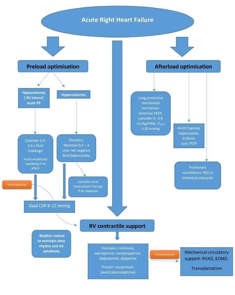ZHeart11768530's tweet photo. 🔴Right Heart Failure: Contemporary Strategies in Acute Management 🩺⤵️
🔹https://t.co/3Cmfww5vGD
#Cardiology #HeartFailure #CriticalCare #RightHeartFunction #MechanicalSupport #Inotropes #Echofirst #YesCCT #whyCMR
#Cardiology #FOAMed #MedEd #medstudent https://t.co/n9weRzDF3g