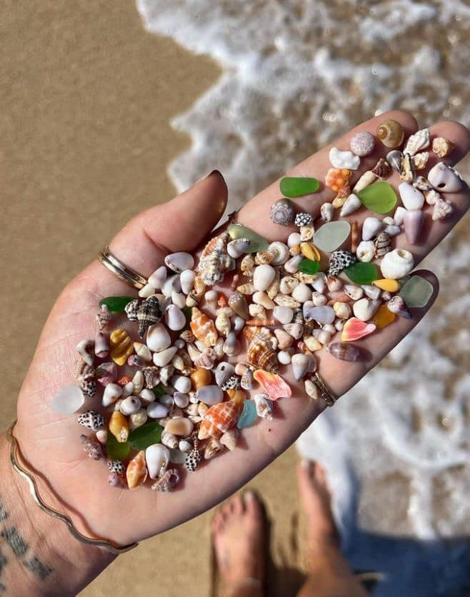 dearlybeloves's tweet image. mini seashells