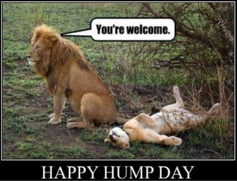 <a href="/CurvyMissMia/">Mia Martini</a>