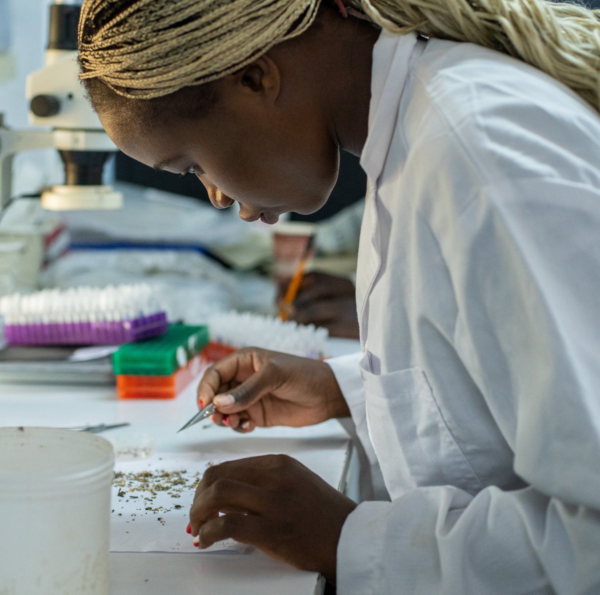 Notre Dame Research (@undresearch) on Twitter photo Could a simple, low-cost device that hangs on a wall lead to reduced malaria transmission?
A <a href="/NotreDame/">University of Notre Dame</a> study showed that a spatial repellent can have transformational outcomes on malaria infections. A new video spotlights the paths that can follow.
youtube.com/watch?v=--DzhQ… Could a simple, low-cost device that hangs on a wall lead to reduced malaria transmission?
A <a href="/NotreDame/">University of Notre Dame</a> study showed that a spatial repellent can have transformational outcomes on malaria infections. A new video spotlights the paths that can follow.
youtube.com/watch?v=--DzhQ…