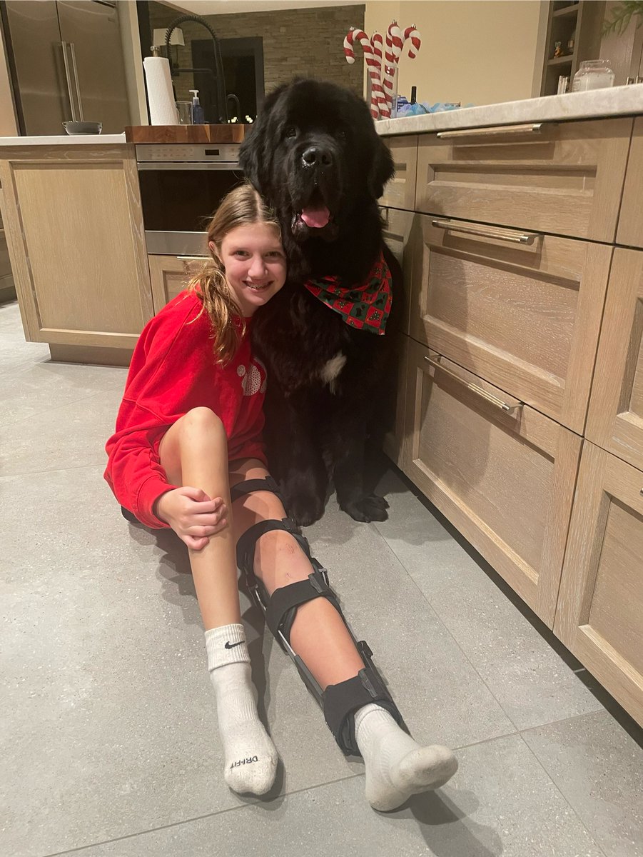 Beth Shubin Stein (@bethshubinstein) on Twitter photo We all have worries occasionally about our patients tripping, falling or not being cautious during the recovery period but I think I found my new fear- a super cute 140lb Newfoundland dog named Murphy! Be careful Grace! #MPFL #Recovery <a href="/HSpecialSurgery/">Hospital for Special Surgery (HSS)</a> (posted with permission) We all have worries occasionally about our patients tripping, falling or not being cautious during the recovery period but I think I found my new fear- a super cute 140lb Newfoundland dog named Murphy! Be careful Grace! #MPFL #Recovery <a href="/HSpecialSurgery/">Hospital for Special Surgery (HSS)</a> (posted with permission)