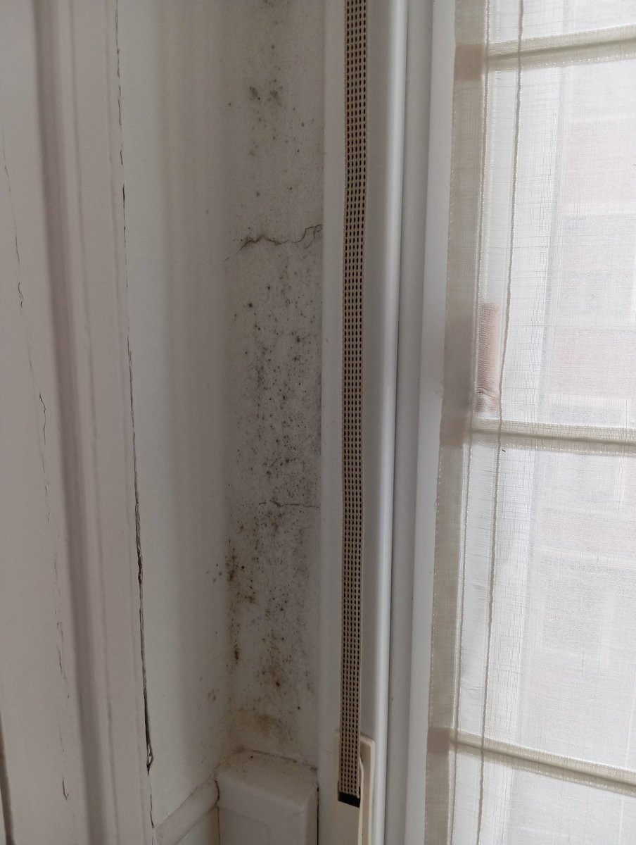 la_frantxute's tweet image. Estoy flipando 😑
En casa, estoy con problemas de humedad, avisé a mi dueña para que llame al seguro, así que me explicó que el problema viene de la ducha que no se ventila y que a pesar de pintar las paredes sin obras en la ducha volverá a pasar. 
Respuesta de la dueña: