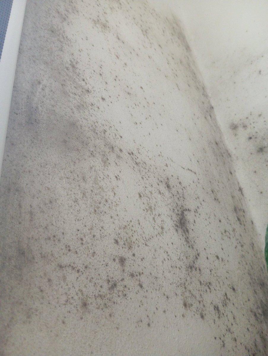 la_frantxute's tweet image. Estoy flipando 😑
En casa, estoy con problemas de humedad, avisé a mi dueña para que llame al seguro, así que me explicó que el problema viene de la ducha que no se ventila y que a pesar de pintar las paredes sin obras en la ducha volverá a pasar. 
Respuesta de la dueña: