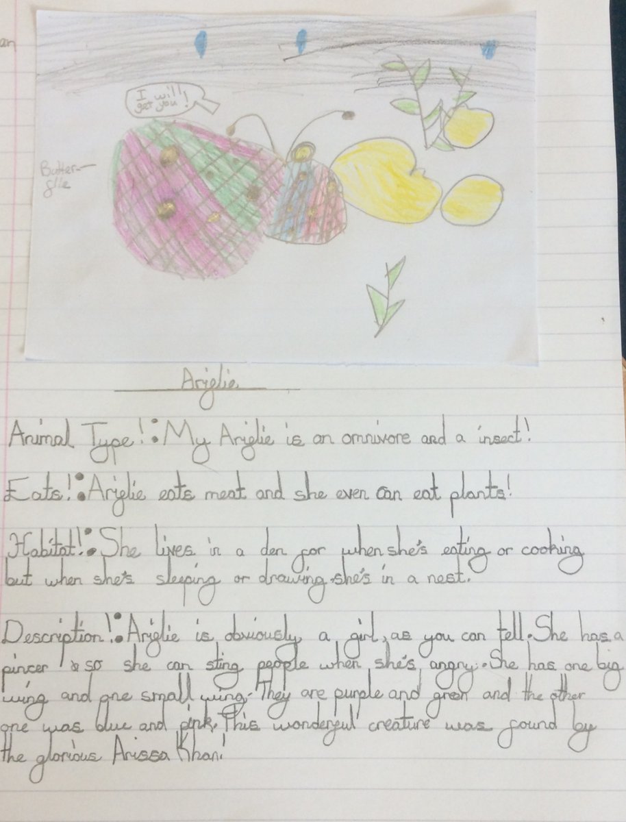 Kanga Sports tweet media