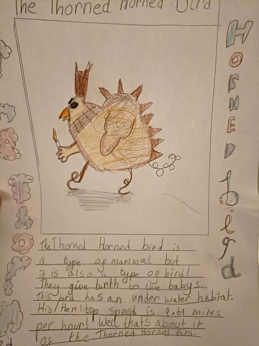 Kanga Sports tweet media