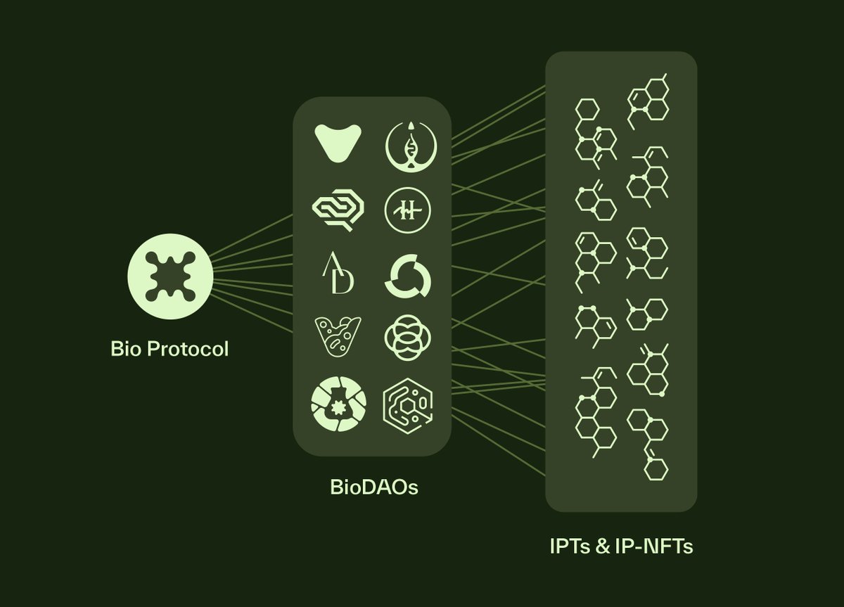 Bio Protocol tweet media