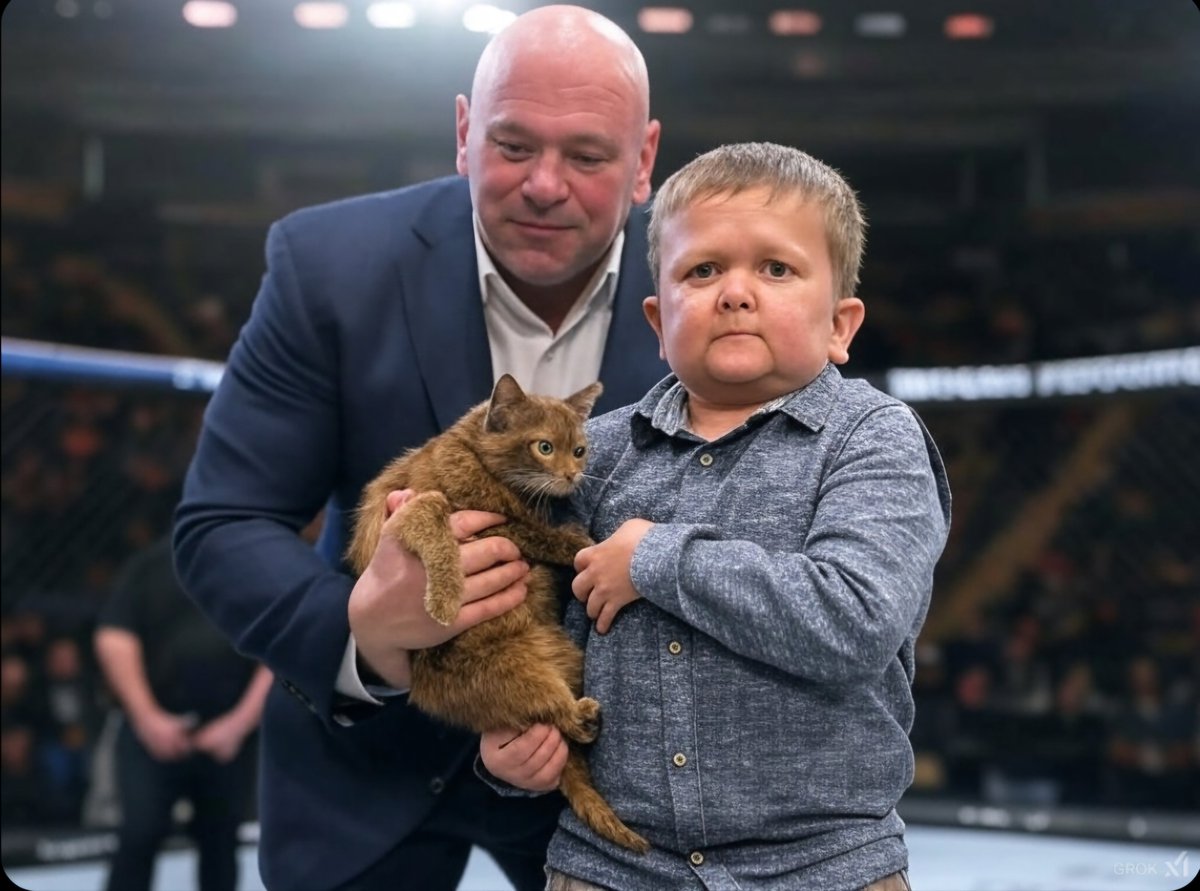 Fantasianft000's tweet image. Dear @danawhite ,

On behalf of the @BarsikOnSolana and our ambassador @HasbullaHive , we want to wish you great success for the upcoming @ufc event. Your dedication and passion for this sport continue to inspire millions of fans around the world, and we are proud to be part of…