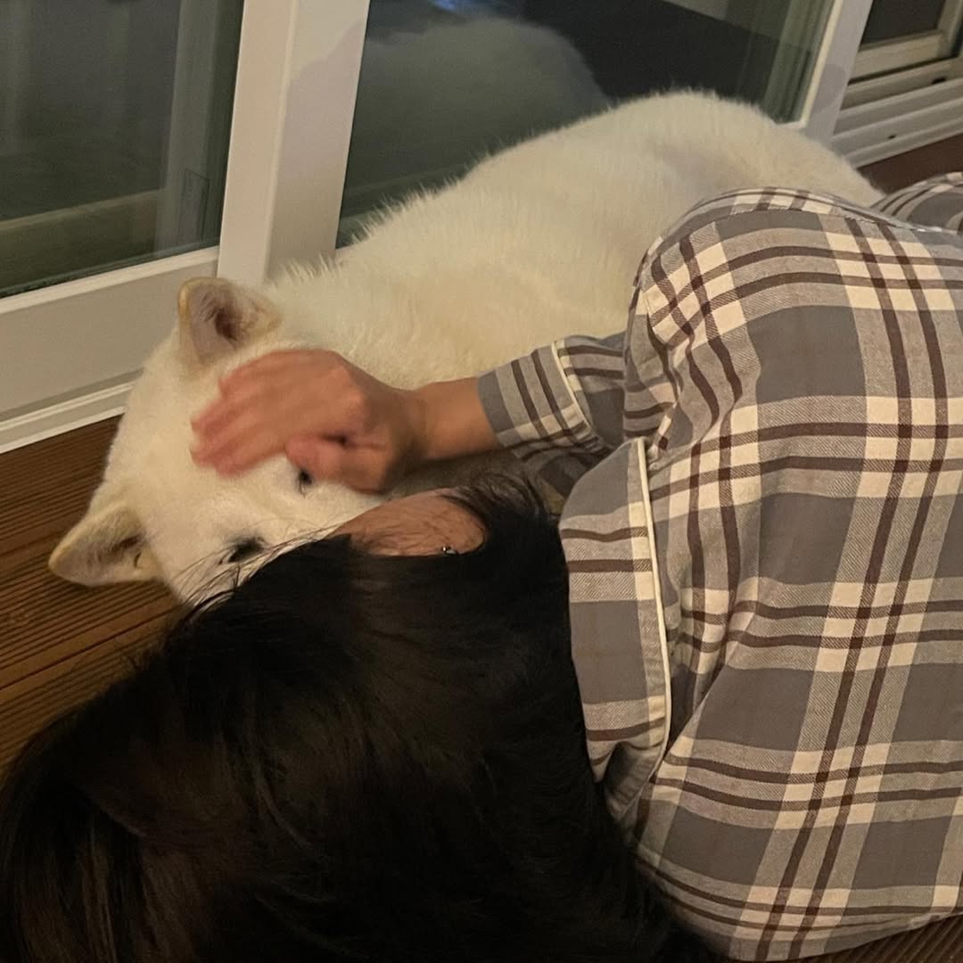 xinsooy's tweet photo. ⠀⠀ֶֶָָ֢֢   ⌕ #seorlinah  ↺.  Can anyone really   resist   the  magnetic   pull  of  my  fluffy,
or is it just me ? https://t.co/p3xo6x9p7A