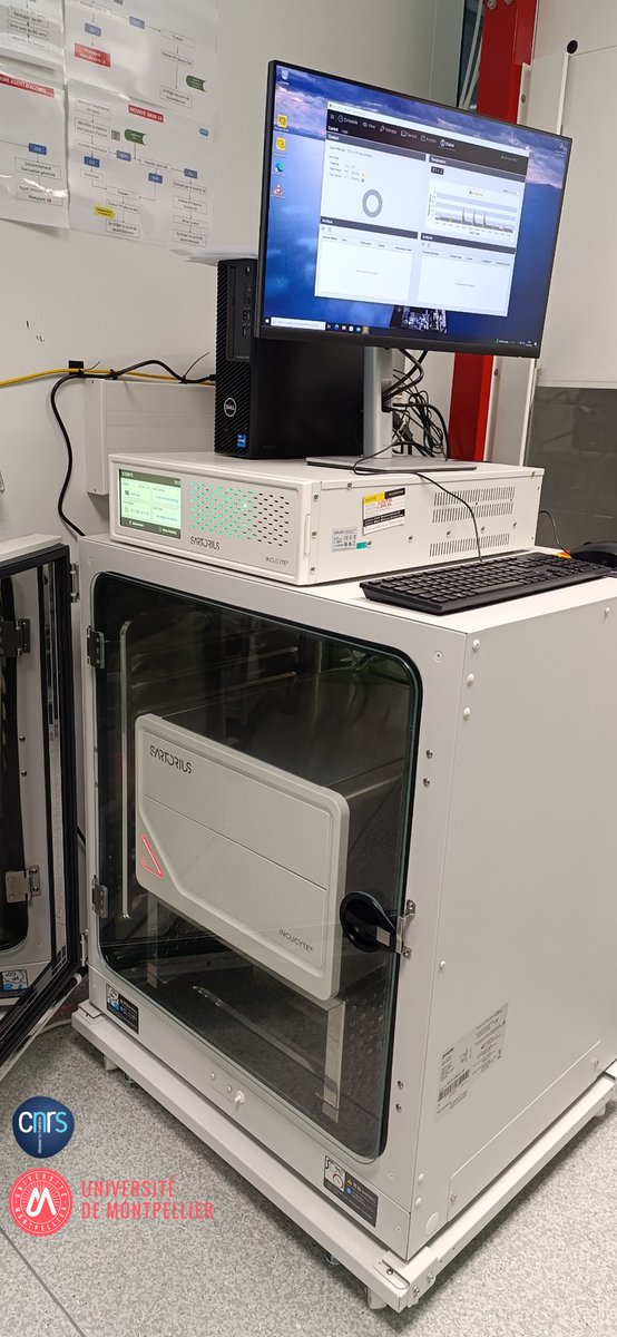 CEMIPAI (@cemipai_uar3725) on Twitter photo Nouveauté 2025 <a href="/cemipai_UAR3725/">CEMIPAI</a> : microscope en incubateur pour le suivi automatisé de cultures cellulaires et criblage d'antiviraux en laboratoire confiné, grâce au soutien financier de <a href="/umontpellier/">Université de Montpellier</a> <a href="/ISITE_UM/">Programme d'excellence I-SITE de l'UM</a> <a href="/CapitaleSante/">Montpellier Capitale Santé</a> Nouveauté 2025 <a href="/cemipai_UAR3725/">CEMIPAI</a> : microscope en incubateur pour le suivi automatisé de cultures cellulaires et criblage d'antiviraux en laboratoire confiné, grâce au soutien financier de <a href="/umontpellier/">Université de Montpellier</a> <a href="/ISITE_UM/">Programme d'excellence I-SITE de l'UM</a> <a href="/CapitaleSante/">Montpellier Capitale Santé</a>
