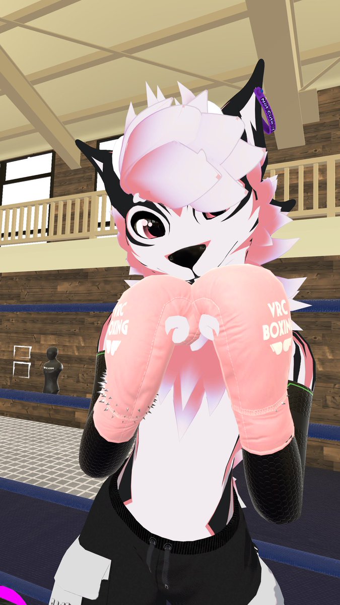 vanillachanvr's tweet photo. It's really crazy how cute these avatars are, and then you realize that they will absolutely beat you up if you dare step in the ring with them (Furries are a menace in VRC Boxing) https://t.co/ymjUD8PSaf