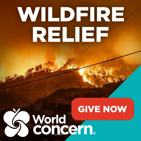 95.9 The Fish tweet media