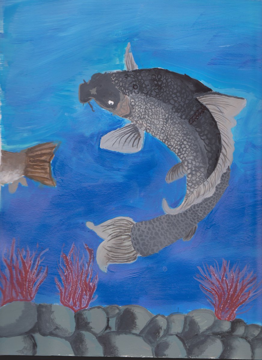 The 2025 Minnesota Fish Art Contest is accepting submissions from all Minnesota students. 🎨 Do you have what it takes to create a reel-y great piece of art? Submit original artwork of a fish species of your choice by Feb 28! tinyurl.com/FishArtContest 

📷: Wildlife Forever