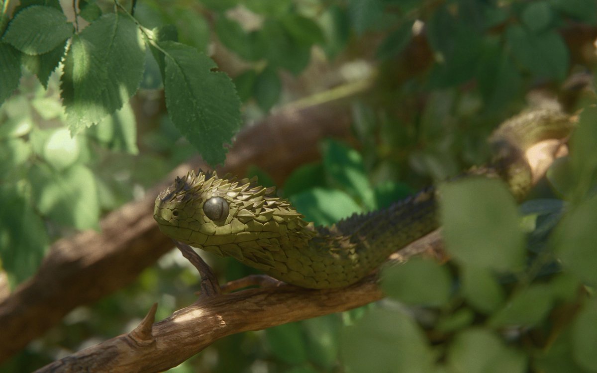 'Bush viper' by jackal  

blenderartists.org/t/bush-viper/1…

#b3d #blender3d #blenderart #blenderrender #blendercommunity