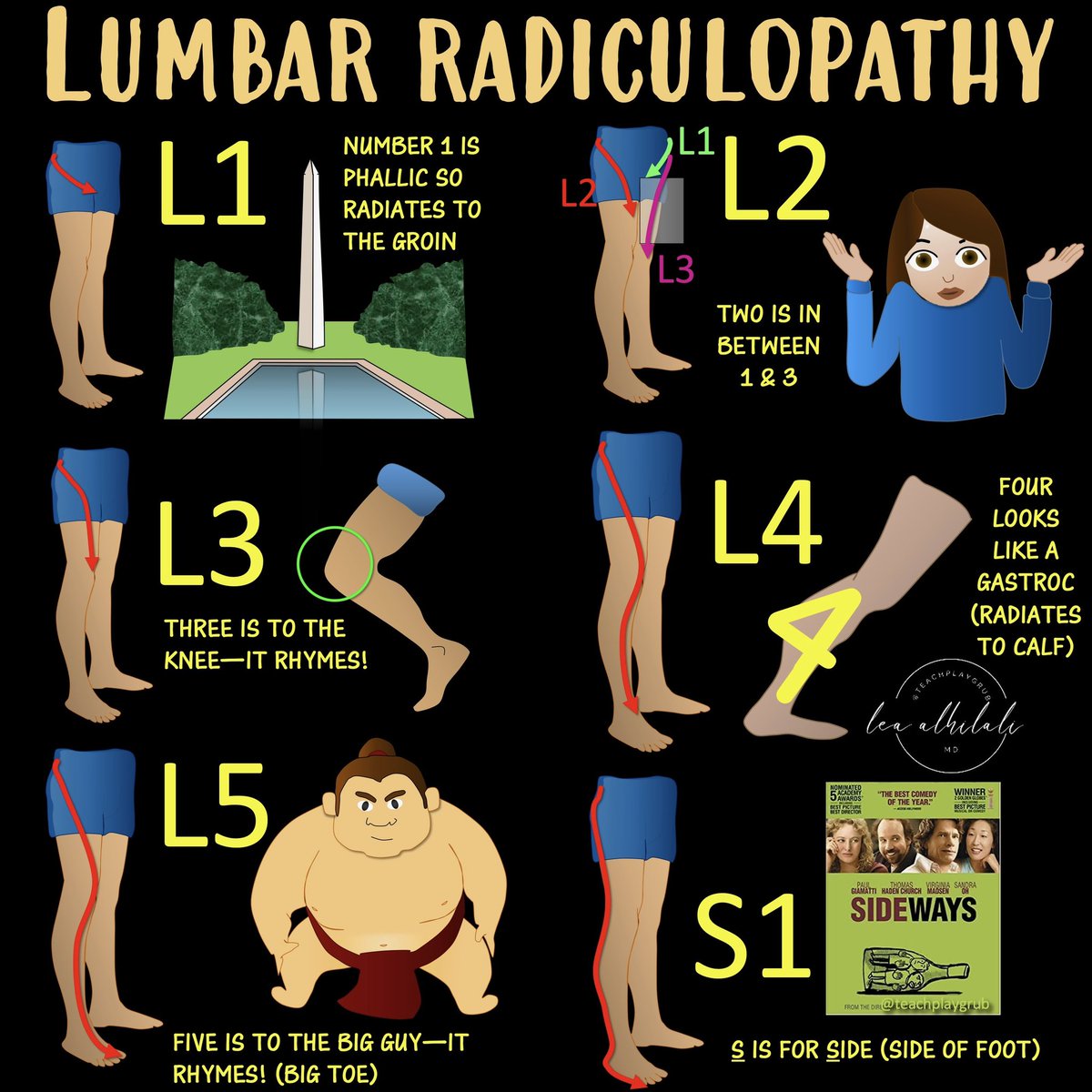 teachplaygrub's tweet photo. Tell me where it hurts.”
 
How back pain radiates can tell you where the lesion is—if you know where to look!
 
Do YOU know where to look?
 
Here’s how to remember the lumbar radicular pain distributions!
 
Keep this cheat sheet as a BACKUP for when you are dealing with BACK pain!
 
L1
L1 radiates to the groin
Remember that b/c the number 1 is, well, um…phallic. So phallic number 1 radiates to the groin.
 
L2
L2 radiates to thigh
Two is the number between 1 and 3, so the distribution of L2 is between the distributions of L1 and L3—and between the groin (L1) and knee (L3) is the thigh.
 
L3
L3 radiates to the knee
Remember L3 is to the knee—easy, it rhymes!
 
L4
L4 radiates to the calf.
Remember this bc the number 4 looks like the calf, 🔸Top part of the 4 looking like a bulging gastroc & the bottom part of the four is the rest of the calf connecting to the ankle.
 
L5
L5 radiates to the big toe.
Remember the little rhyme “Five is to the big guy!”
L5 is also foot drop. Remember big guys are heavy, and heavy gravity = drop.
 
S1
S1 radiates to the side of the foot.
Remember this because both S1 and Side start w/S.
 
So now you know where in the lumbar spine to a look when a patient tells you the pain radiates down their leg!
 
Remember, there are many variations & this is just a starting guide 
 
But hopefully now remembering the lumbar radicular distributions won’t be a pain in the backside!