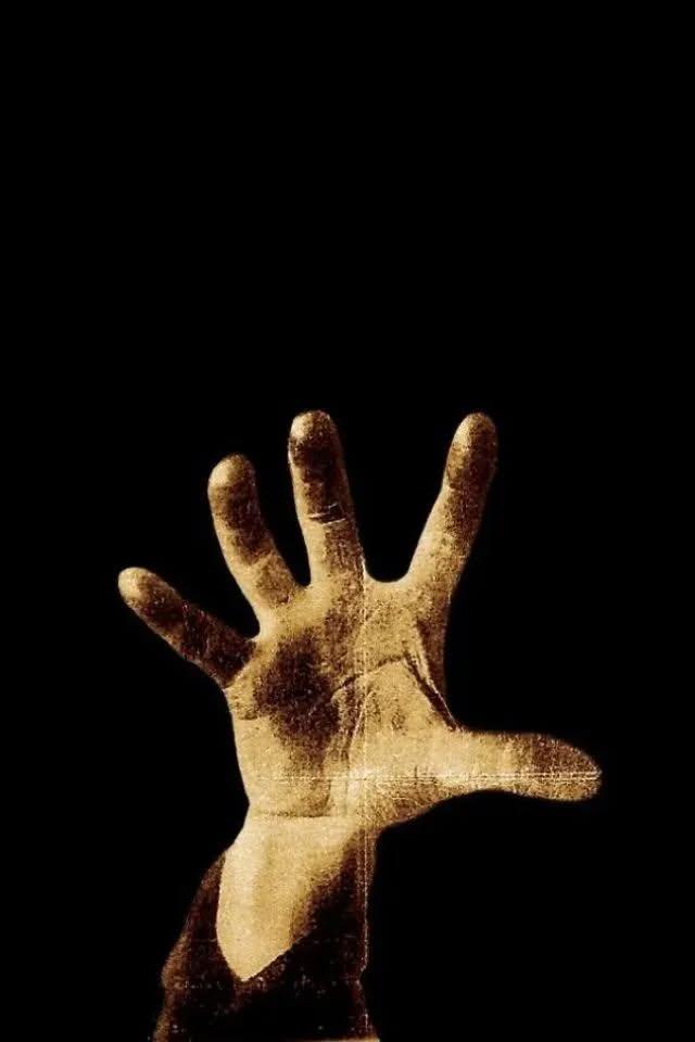A imagem de uma mão na capa do primeiro álbum do System of a Down, lançado em 1998, foi retirada de um pôster do partido comunista alemão, chamado Five Fingers have Hand A arte original é de 1928 e tem um texto que diz: A mão tem cinco dedos, com eles agarre o inimigo