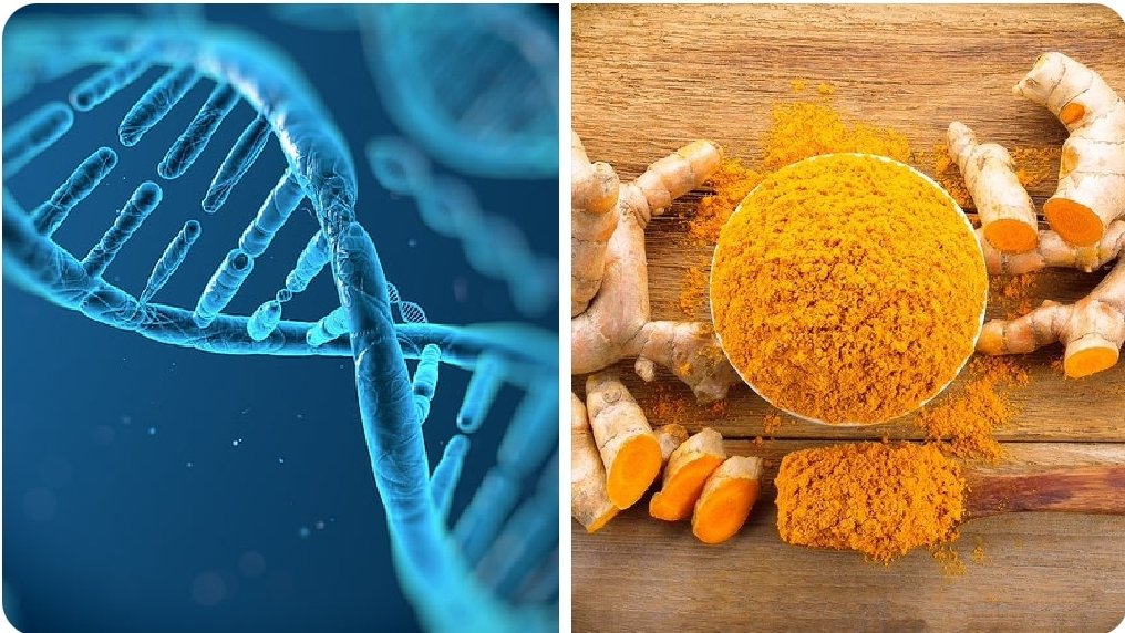 Turmeric_jo's tweet photo. فوائد #الكركم لعلاج #الزكام و الكحه 
1. تقليل الالتهابات: يخفف من التهاب الحلق وممرات التنفس
2. تعزيز المناعة: يساعد في مكافحة الفيروسات والبكتيريا المسببة للزكام
3. تهدئة #الكحة: الكركم يهدئ الكحة الجافة والمزعجة
4. فتح الممرات التنفسية: يساعد في تخفيف الاحتقان
طرق استخدامه 👇 https://t.co/nFymn2k9uv