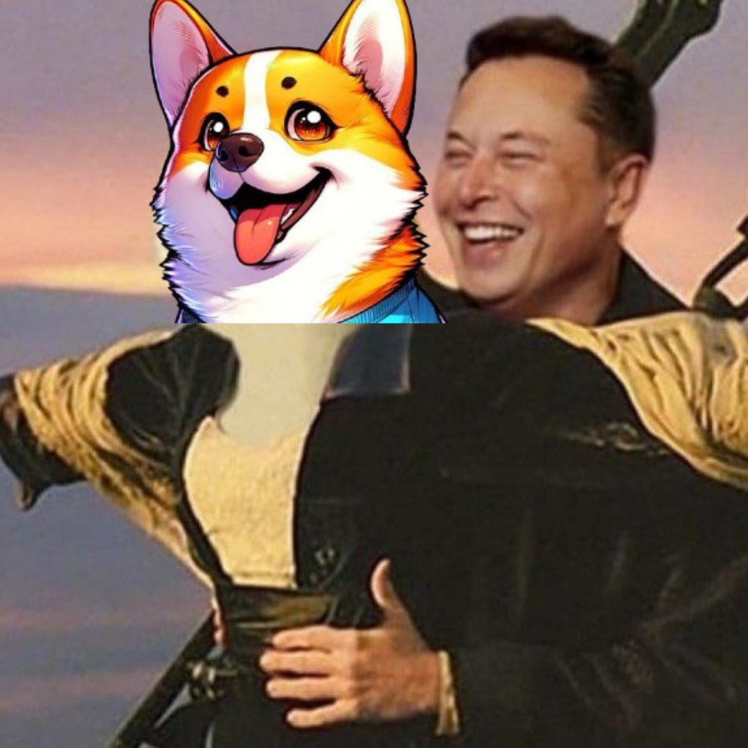 Dopu_memecoin's tweet photo. 🐾 $DOPU (Dog with a Purpose) is soaring high with a +1249.78% increase! 🚀
New #ATH for $DOPU @Dopu_Official at price $0.003376
https://t.co/CliU4Vm5en
#Crypto #Altcoins #CryptoGains #DOPU #BuiltonXDC #XDC https://t.co/kZ5zPLai3d