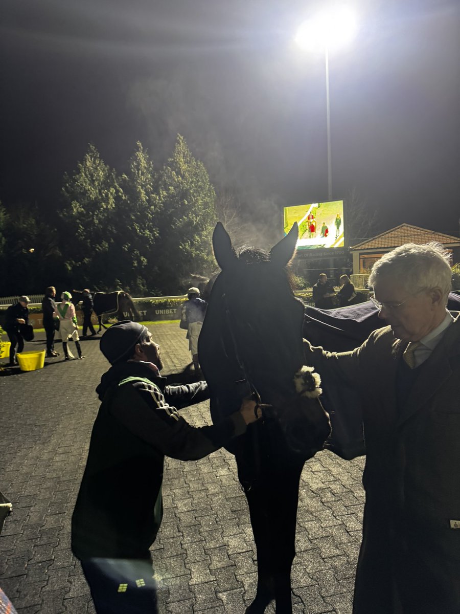 ThurloeThoroughbreds tweet media