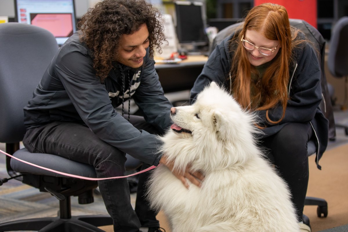 Last night was the Long Night Against Procrastination at Swedenborg Library, complete with therapy dogs for stress relief! Good luck on your midterms, lions! 🦁