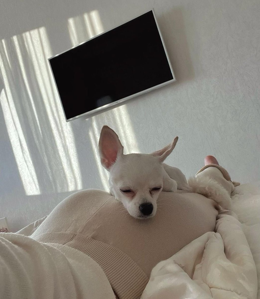 despondent gilgai
🔥