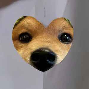 beet419's tweet image. gm gm