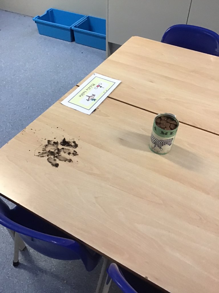 Year1SouthCamPr's tweet photo. Oh my goodness! Someone or something has been into Jeffers Class this weekend and they have made quite a mess. I hope they are not still hiding. #WeLoveSouthCamberley #HowToHideALion https://t.co/5aTgiRUsqd