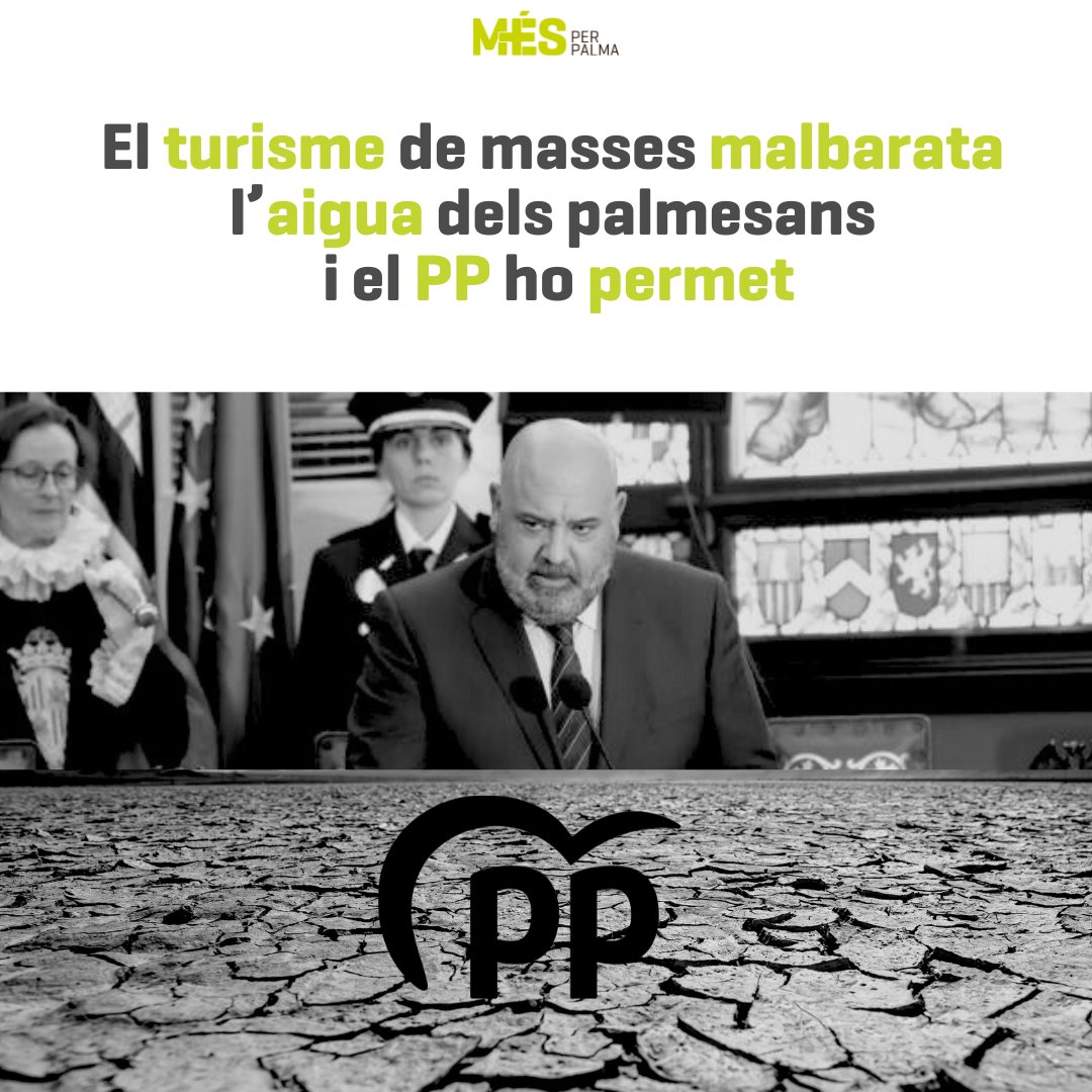 Neus Truyol Caimari tweet media