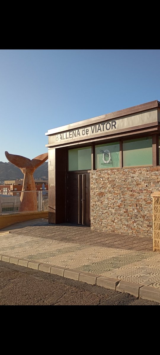 Museo Paleontológico de La Ballena (Viator/Almería).