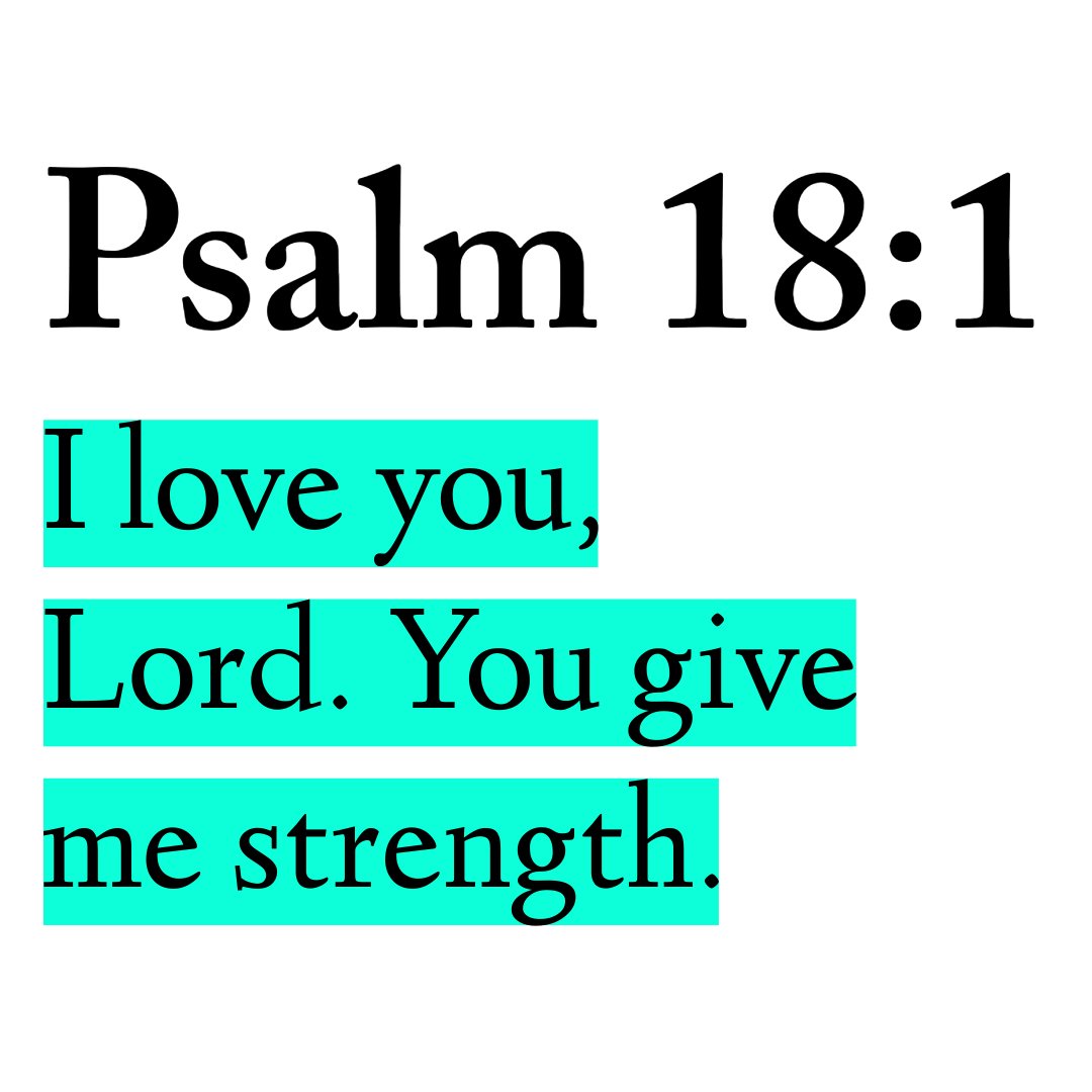 Holy Bible tweet media