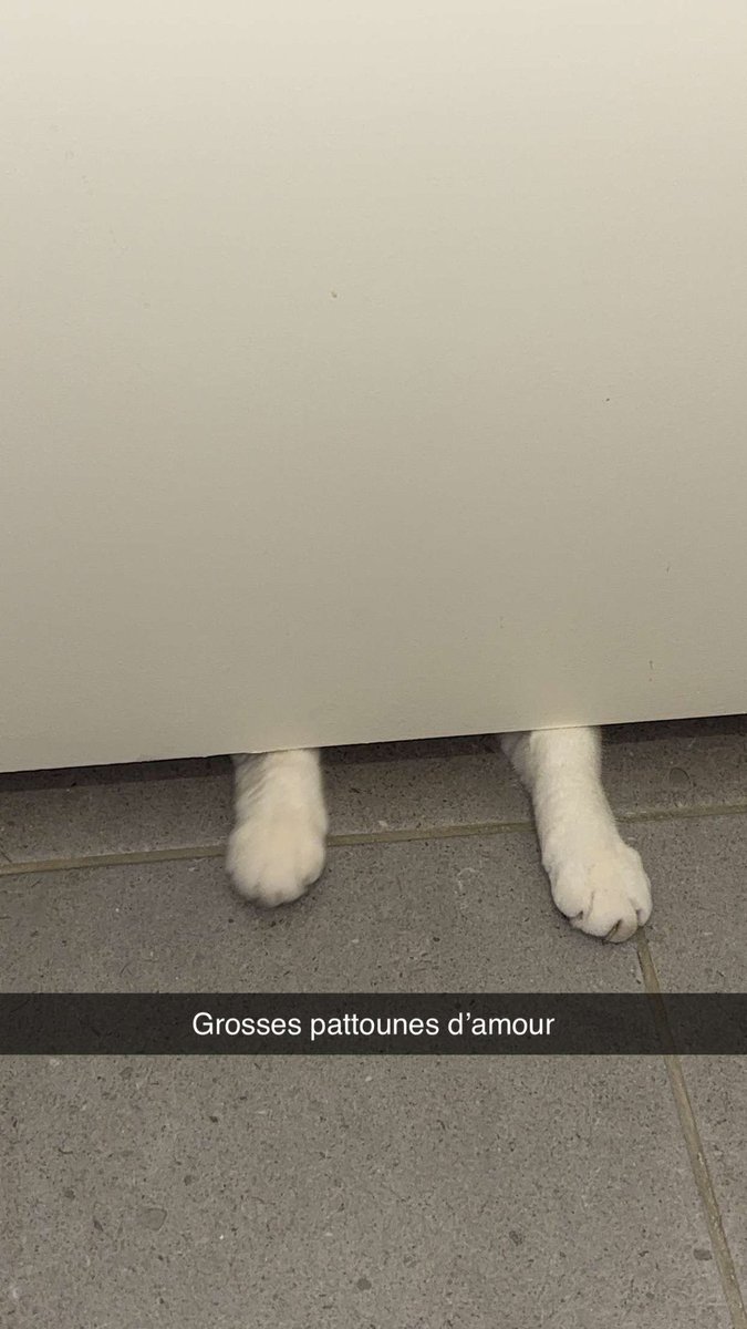 Lou 🌸 tweet media