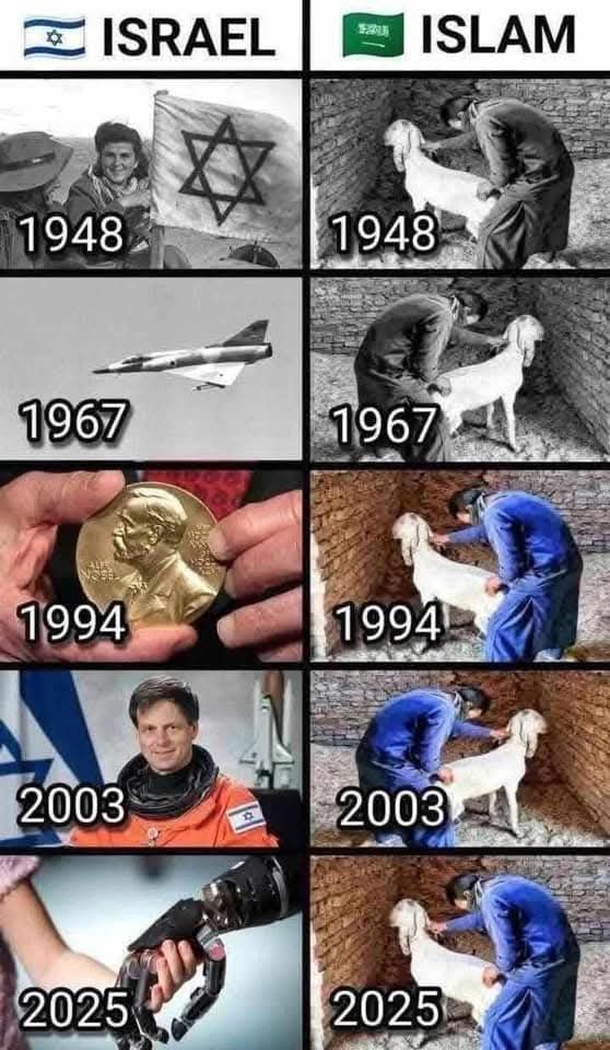 Ist das Hassrede (Welcher §?) oder Meinungsfreiheit?