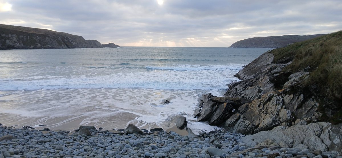 Michael Mitchell tweet media