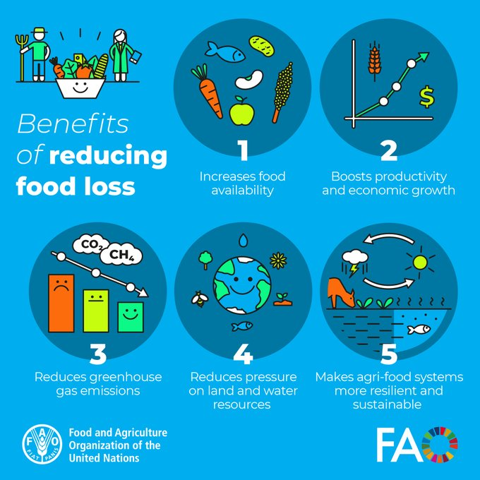 UNBiodiversity's tweet photo. Reducing #FoodLoss &amp; #FoodWaste means more than simply saving food, it means protecting the health of our planet 🌍  &amp; so much more.

Here are 5 benefits of reducing food loss 👇

via @FAOKnowledge https://t.co/fr8A8fjece