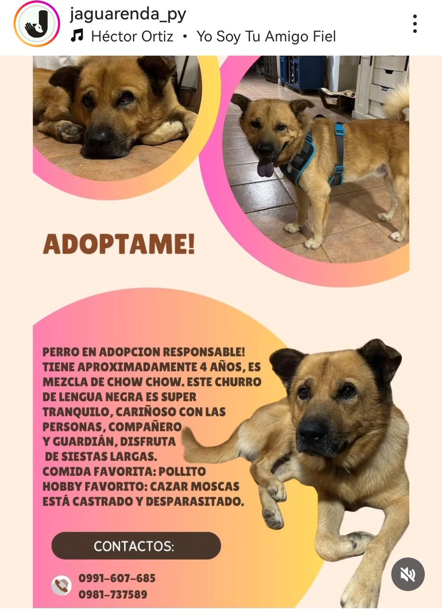 Tana 🦋🇵🇾🧉 tweet media