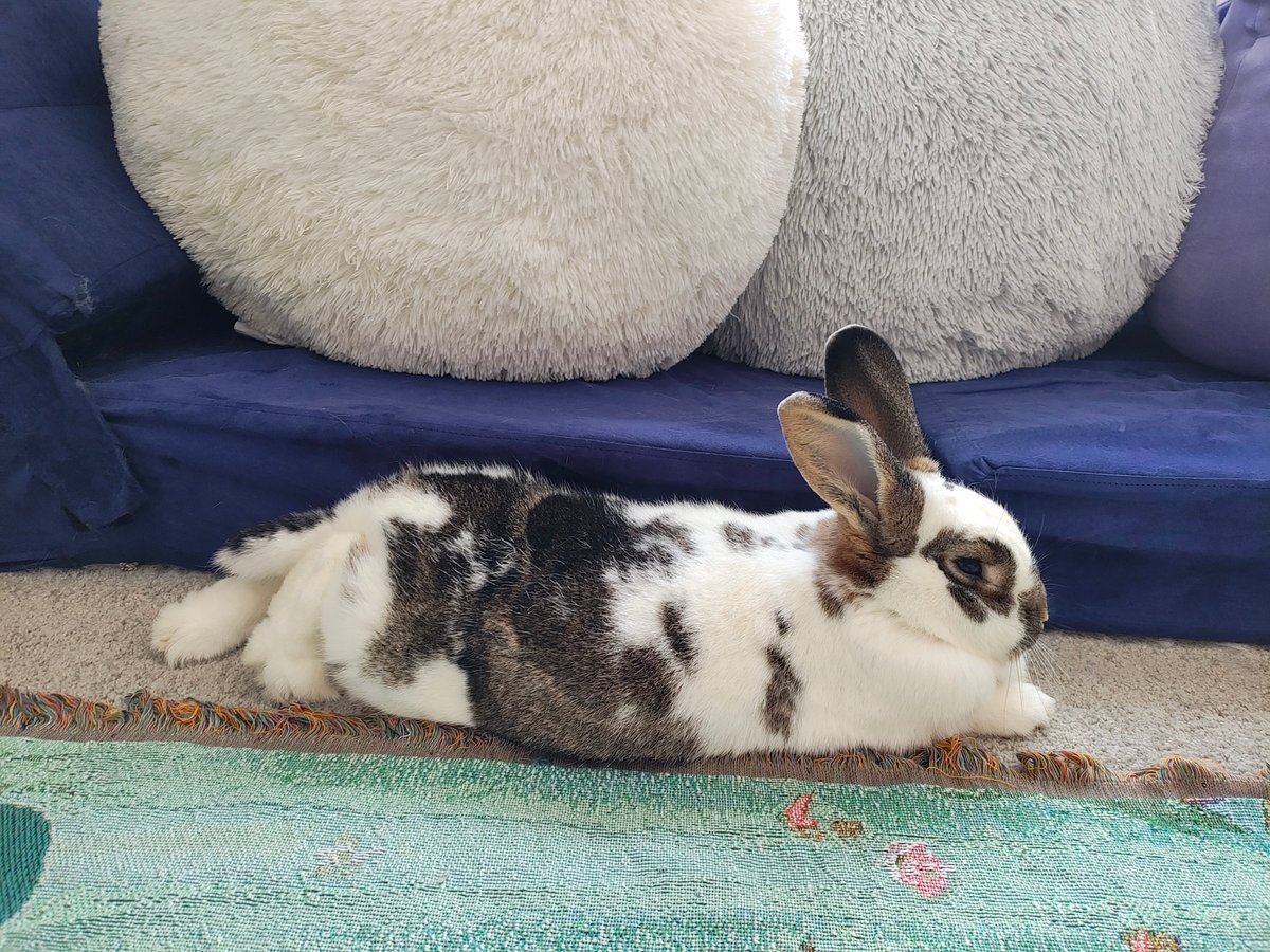 Princess Sephiroth 🍉 tweet media