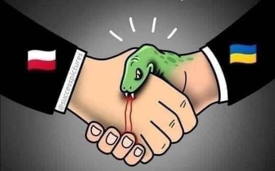 Lengyel - Ukrán két jó barát? 

Lengyel testvéreinket óva intem, hogy kigyót ölelgessenek a keblükön, mert Ukrajna háborúba fogja őket sodorni. 

#Poland #Ukraine #Stopzelensky #Pokrovsk #Kursk #ukranian #wolyn #kiev #warszawa