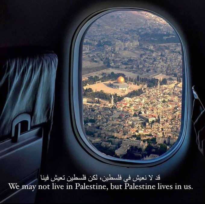 aiishadahir's tweet photo. Long live Palestine. https://t.co/0kLz9SEfWd