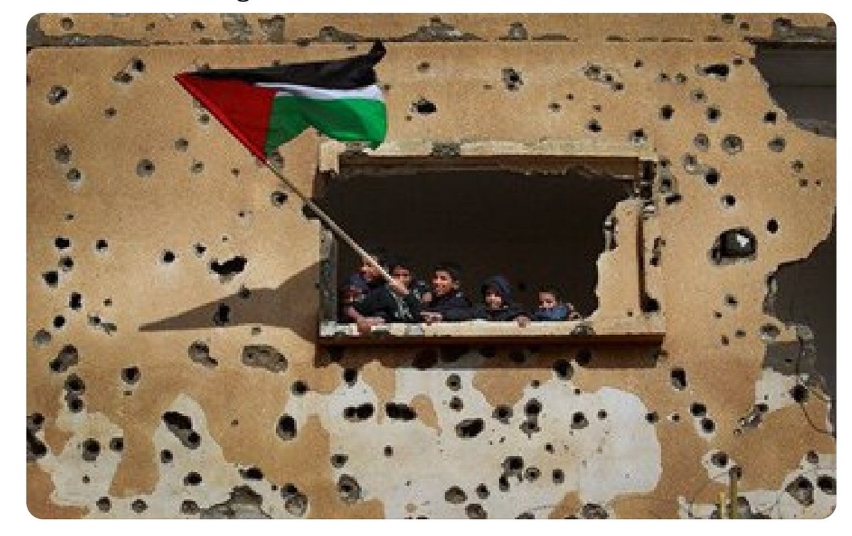 Onbeş aydır bunca acıya zulme soykırıma yokluğa açlığa soğuğa rağmen, dünyanın en zalim ordusuna boyun eğmediniz ya özgür(!) dünyanın en çok özgürlüğü hak eden milletisiniz net... #ateskes