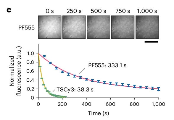 Out today! Exploiting photochemistry to create super-photostable cyanine dyes for bioimaging from Kim, Chang, and Ryu. nature.com/articles/s4159…