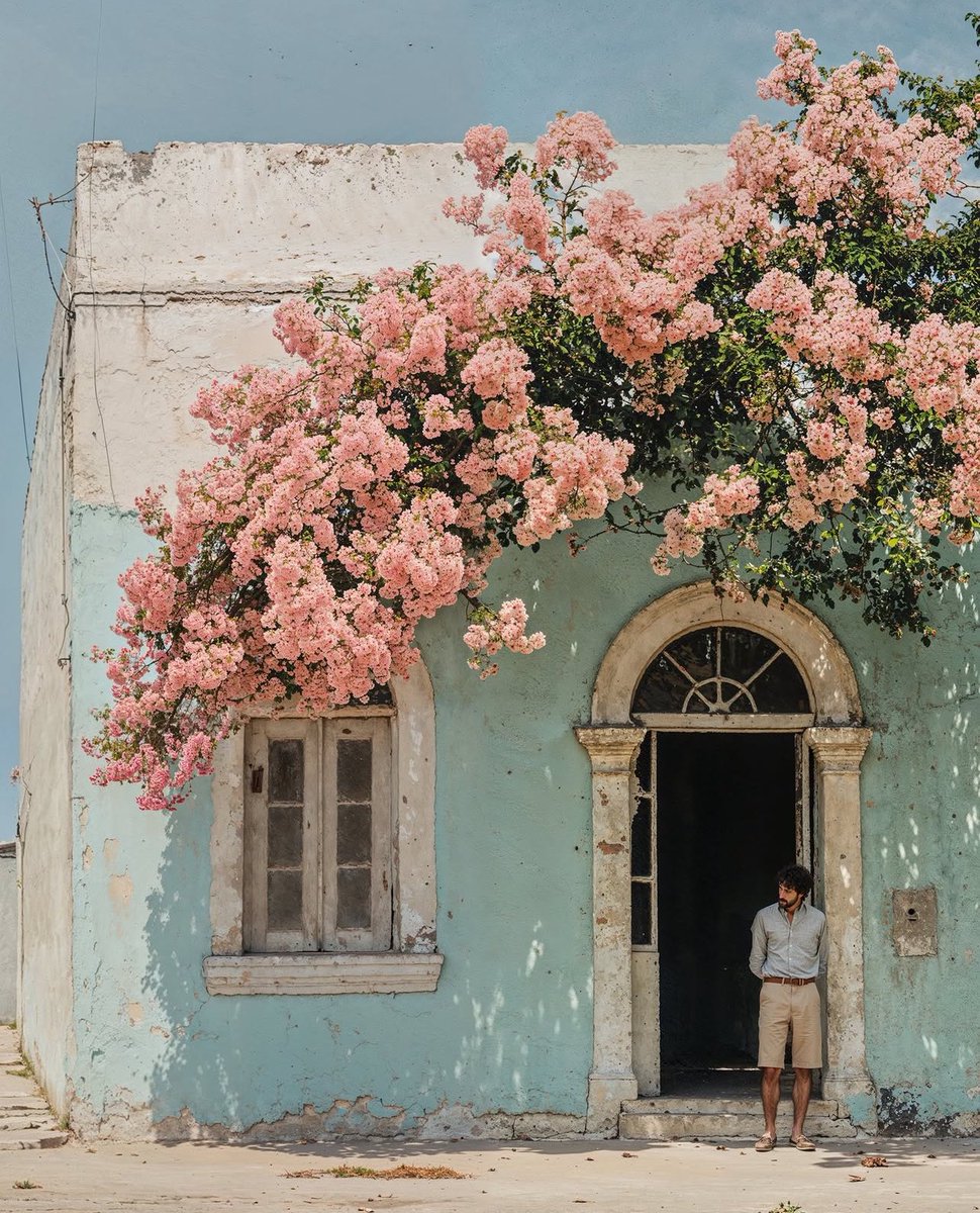 thierrylechanteur 🌸
